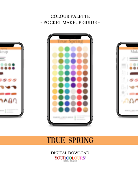 COLOR PALETTE - True Spring Pocket Makeup Guide