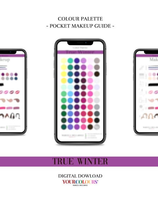 COLOR PALETTE - True Winter Pocket Makeup Guide